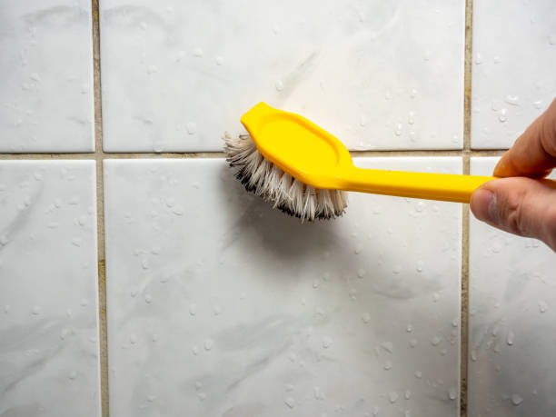 Best Black Mold Removal  in Holley, NY