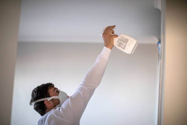 Best Black Mold Removal  in Holley, NY