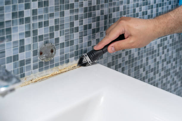 Best Mold Removal Process  in Holley, NY