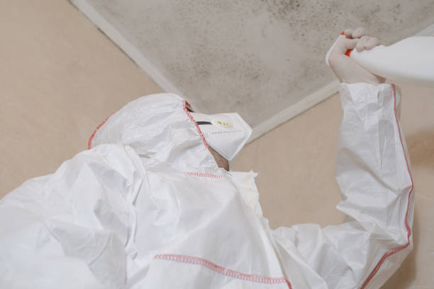 Best Emergency Mold Removal  in Holley, NY